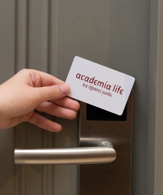 Academialife